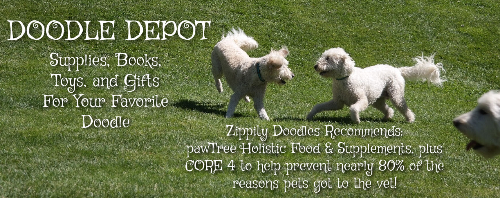 Doodle Depot - Supplies, Toys, & Gifts for Doodles