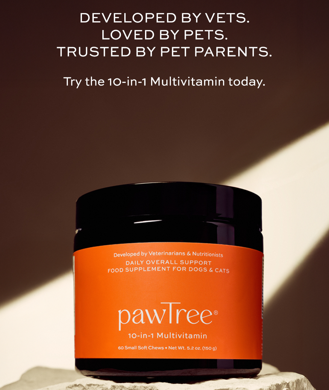 10 in 1 Pet Multivitamin